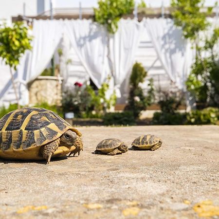 Hotel Abril 37 Ciutadella  Ngoại thất bức ảnh