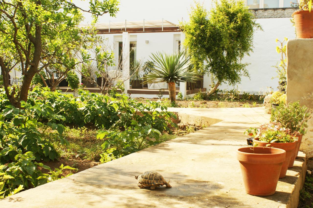 Hotel Abril 37 Ciutadella  Ngoại thất bức ảnh
