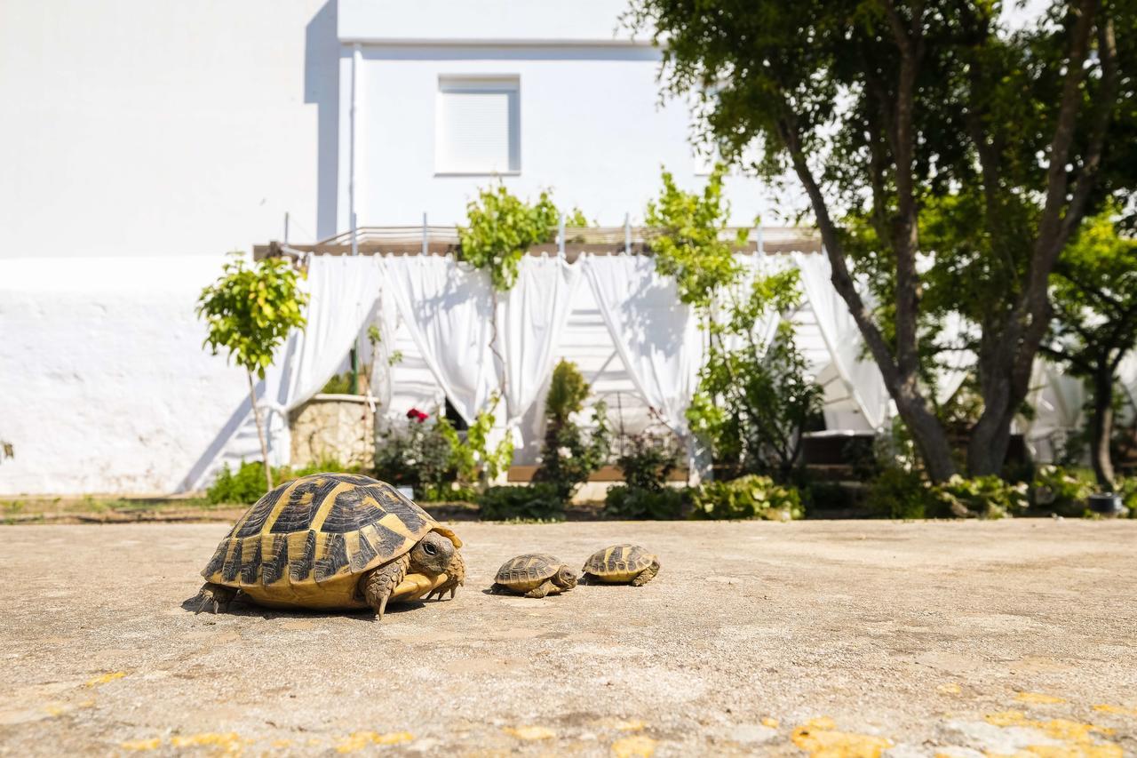Hotel Abril 37 Ciutadella  Ngoại thất bức ảnh